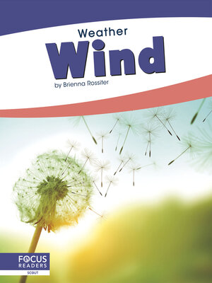 cover image of Wind